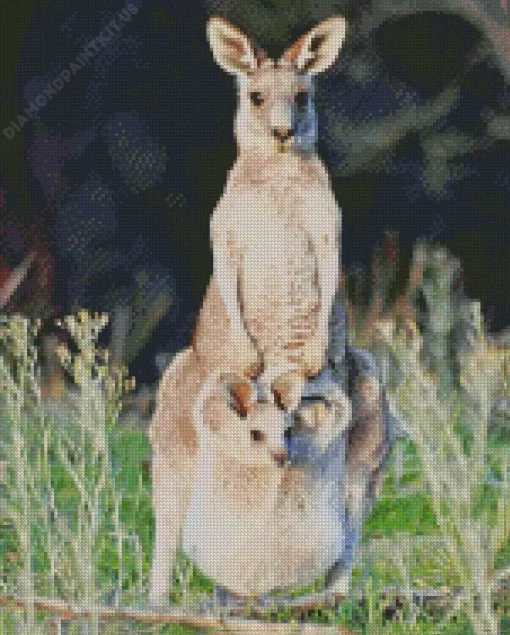 Kangaroo In A Pouch Diamond Painting