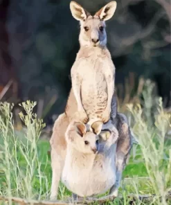 Kangaroo In A Pouch Diamond Painting