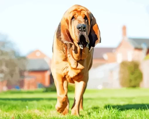 Red Bloodhound Diamond Painting