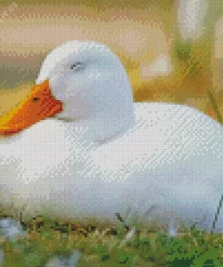 Sleeping Duck Diamond Painting