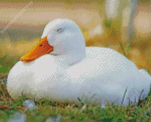 Sleeping Duck Diamond Painting