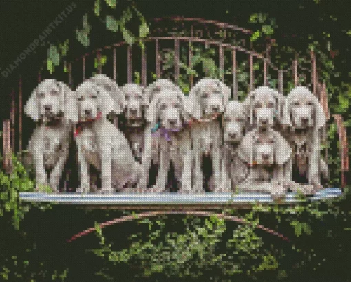 Weimaraner Puppies Animals Diamond Painting