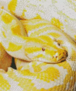 Yellow Python Burmese Snake Diamond Painting