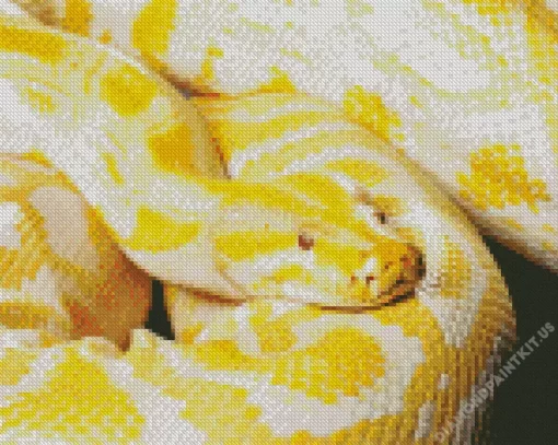 Yellow Python Burmese Snake Diamond Painting