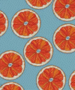 Blood Orange Illustration Diamond Painting