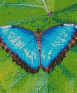 Blue And Black Butterfly On Leaf Diamond Painting