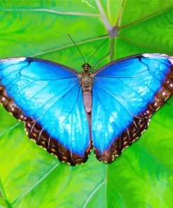 Blue And Black Butterfly On Leaf Diamond Painting