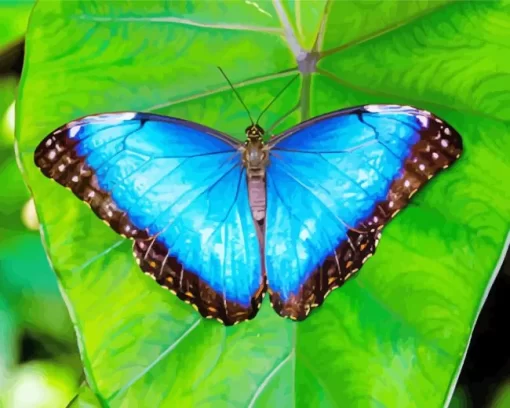 Blue And Black Butterfly On Leaf Diamond Painting