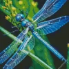 Blue And Black Dragonfly Diamond Painting