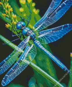 Blue And Black Dragonfly Diamond Painting