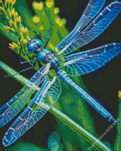 Blue And Black Dragonfly Diamond Painting