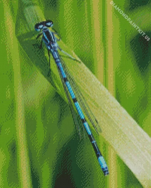 Blue And Black Dragonfly On Leaf Diamond Painting