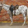 Appaloosa Leopard Diamond Painting