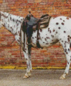 Appaloosa Leopard Diamond Painting