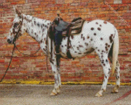 Appaloosa Leopard Diamond Painting