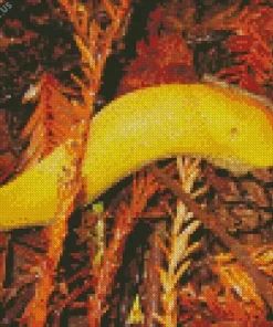 Banana Slug Diamond Painting