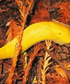 Banana Slug Diamond Painting