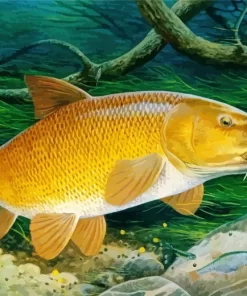 Barbel Fish Diamond Painting