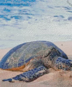 Beach With Turtle Diamond Painting