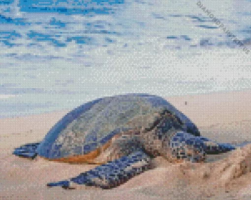 Beach With Turtle Diamond Painting