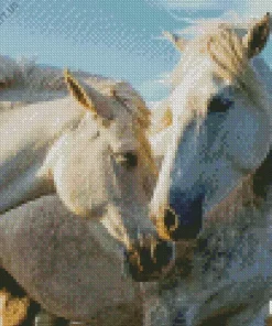 Beautiful White Stallion Diamond Painting