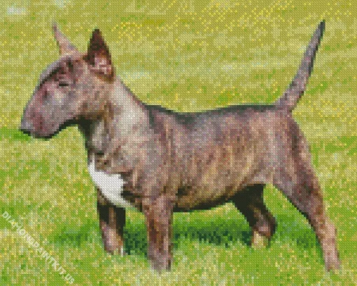 Black And Brown Bull Terrier Diamond Painting