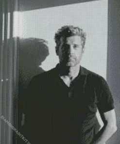 Black And White Patrick Dempsey Diamond Painting