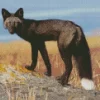 Black Fox Diamond Painting