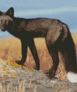 Black Fox Diamond Painting