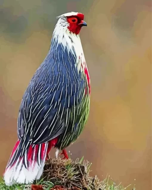 Blood Pheasant Bird Diamond Painting