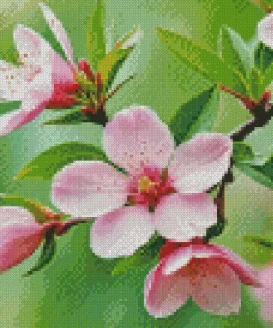 Blossom Flower Diamond Painting