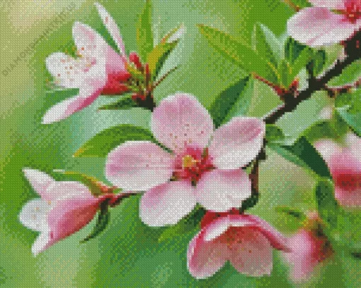 Blossom Flower Diamond Painting