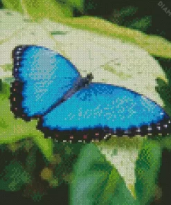 Blue And Black Butterfly Diamond Painting