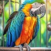 Blue And Gold Macaw Bird Diamond Painting