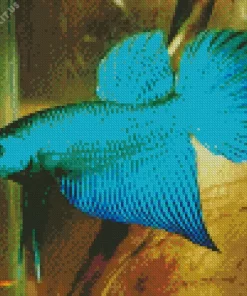 Blue And Green Betta Fish Diamond Painting