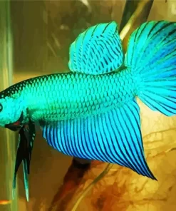 Blue And Green Betta Fish Diamond Painting