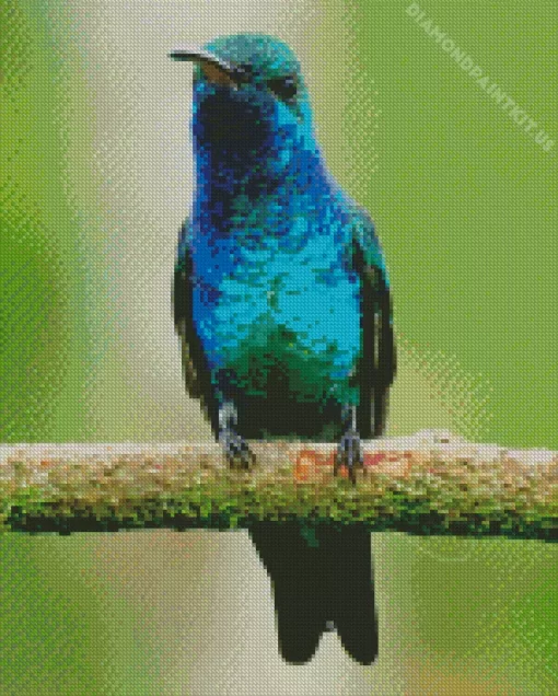 Blue And Green Hummingbird Diamond Painting