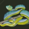 Blue And Green Pit Vipers Diamond Painting