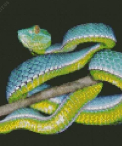 Blue And Green Pit Vipers Diamond Painting