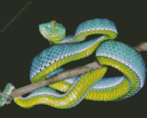 Blue And Green Pit Vipers Diamond Painting