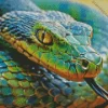 Blue And Green Pit Vipers Snake Diamond Painting