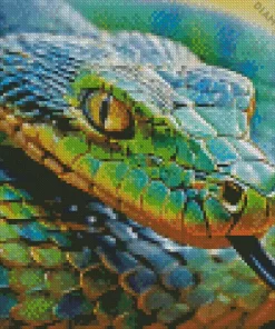 Blue And Green Pit Vipers Snake Diamond Painting