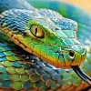 Blue And Green Pit Vipers Snake Diamond Painting