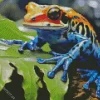 Blue And Orange Frog Diamond Painting