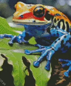 Blue And Orange Frog Diamond Painting