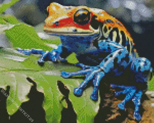 Blue And Orange Frog Diamond Painting