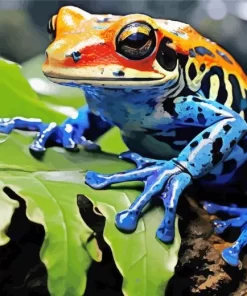 Blue And Orange Frog Diamond Painting