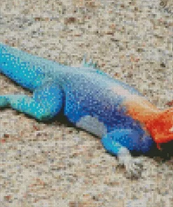 Blue And Orange Iguana Diamond Painting