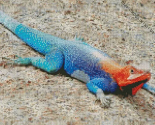 Blue And Orange Iguana Diamond Painting