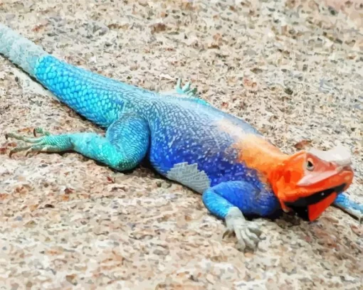 Blue And Orange Iguana Diamond Painting